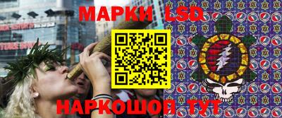 индика Малгобек