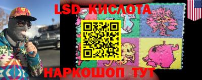 индика Малгобек