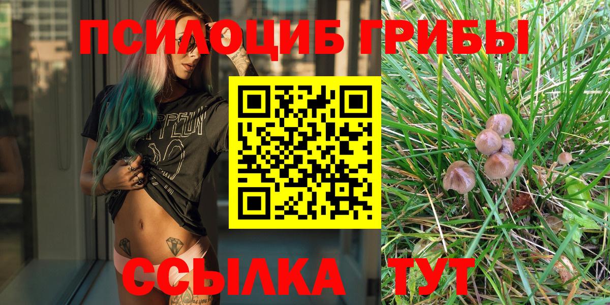 Псилоцибиновые грибы Psilocybe Качканар